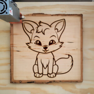 83663_wood-laser-1.jpg