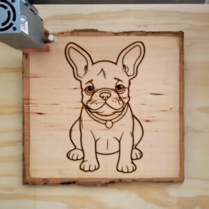 83669_wood-laser-1.jpg