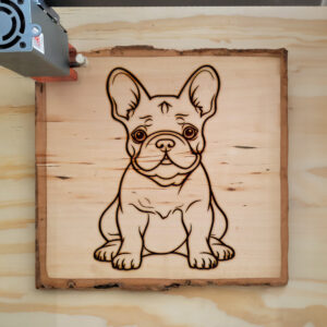 83671_wood-laser-1.jpg
