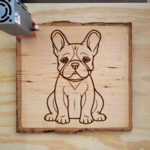 83673_wood-laser-1.jpg