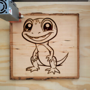 83675_wood-laser-1.jpg