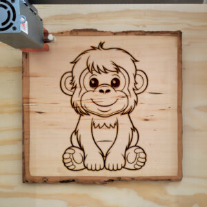 83723_wood-laser-1.jpg