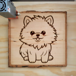 83731_wood-laser-1.jpg