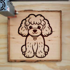 83733_wood-laser-1.jpg