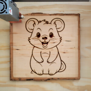 83749_wood-laser-1.jpg