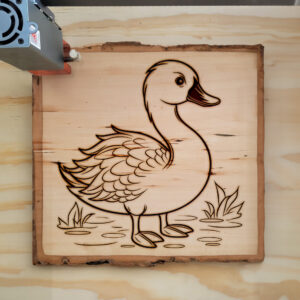 83787_wood-laser-1.jpg