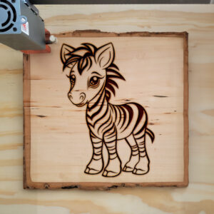 83811_wood-laser-1.jpg