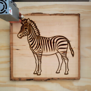 83815_wood-laser-1.jpg