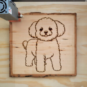 83819_wood-laser-1.jpg