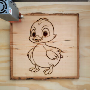 83867_wood-laser-1.jpg