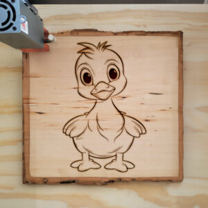 83869_wood-laser-1.jpg
