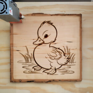 83871_wood-laser-1.jpg