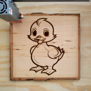 83875_wood-laser-1.jpg