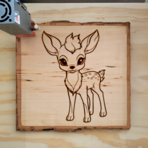 83877_wood-laser-1.jpg