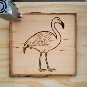 83885_wood-laser-1.jpg