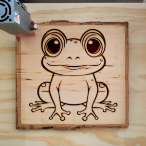 83889_wood-laser-1.jpg
