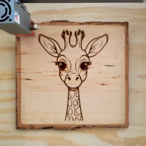 83893_wood-laser-1.jpg