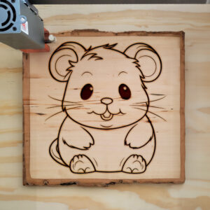 83909_wood-laser-1.jpg