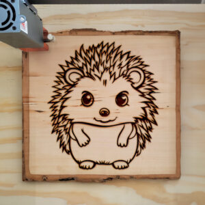 83917_wood-laser-1.jpg