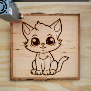 83925_wood-laser-1.jpg