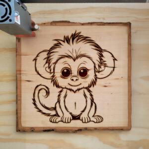 83948_wood-laser-1.jpg
