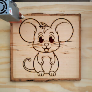 83956_wood-laser-1.jpg