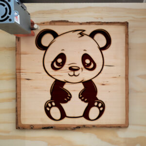 83959_wood-laser-1.jpg