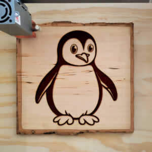 83975_wood-laser-1.jpg