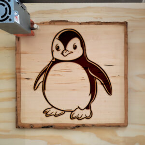 83977_wood-laser-1.jpg
