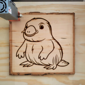 83982_wood-laser-1.jpg