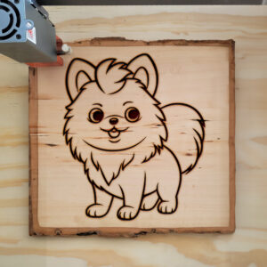 83986_wood-laser-1.jpg