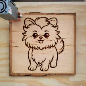 83990_wood-laser-1.jpg