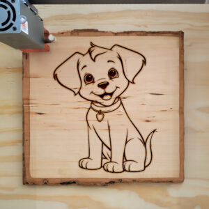 84021_wood-laser-1.jpg