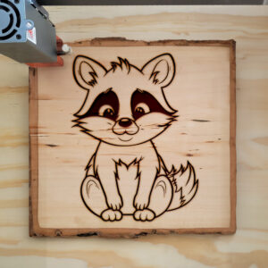 84038_wood-laser-1.jpg