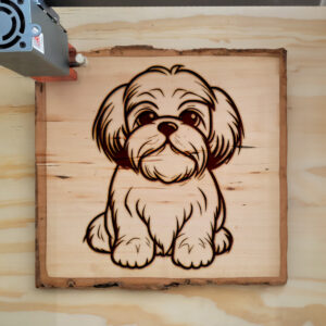84053_wood-laser-1.jpg