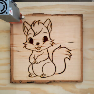 84062_wood-laser-1.jpg