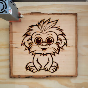 84076_wood-laser-1.jpg