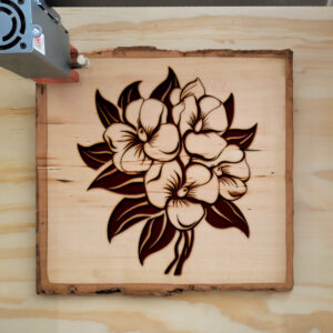 86499_wood-laser-1.jpg
