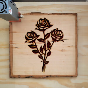 86589_wood-laser-1.jpg