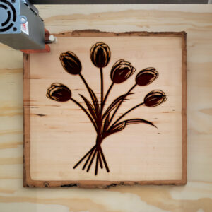 86619_wood-laser-1.jpg