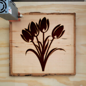 86627_wood-laser-1.jpg