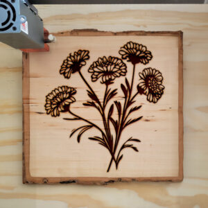 86636_wood-laser-1.jpg