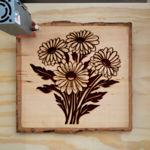 86638_wood-laser-1.jpg