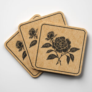 86648_coaster-1.jpg