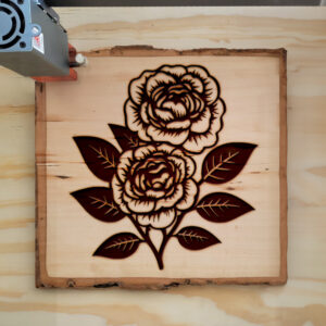 86656_wood-laser-1.jpg