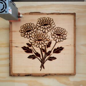 86658_wood-laser-1.jpg