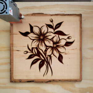 86672_wood-laser-1.jpg