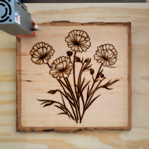 86674_wood-laser-1.jpg