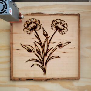 86676_wood-laser-1.jpg