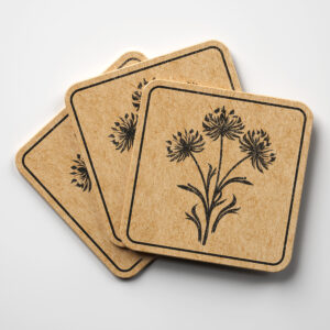 86681_coaster-1.jpg